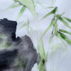Bamboo