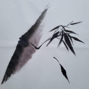 Bamboo