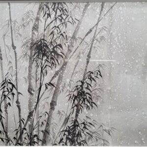 Bamboo
